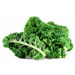 Image for Kale, Green
