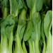 Image for Bok Choy, Local