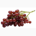 Image for Grapes, Red