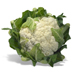 Image for Cauliflower, NW