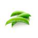 Image for Snap Peas