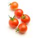Image for Cherry Tomatoes,on the vine