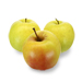Image for Apples, Golden Delicious, NW