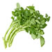 Image for Watercress, Local