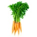 Image for Carrots, Orange, NW