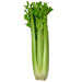 Image for Celery, NW