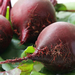 Image for Beets, Red